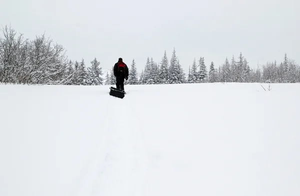 Húz egy szánkó, a hóban — Stock Fotó