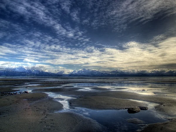 Mantello marino con bassa marea — Foto Stock