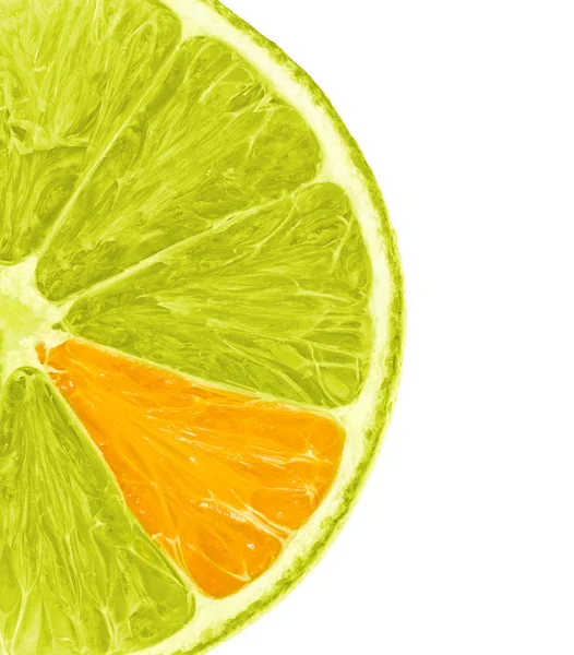 Narancs citrom szelet — Stock Fotó