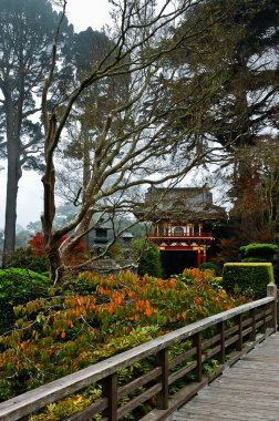 golden gate Park, san francisco Japon çay bahçesi