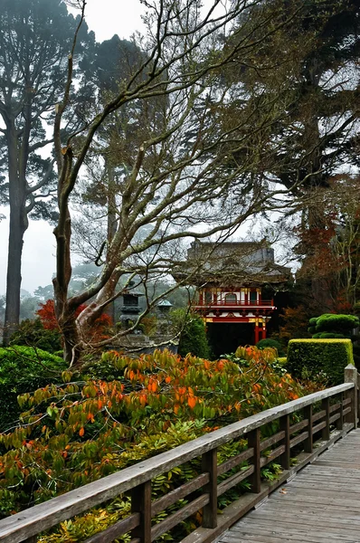 De japanese tea garden in het golden gate park, san francisco — Stockfoto
