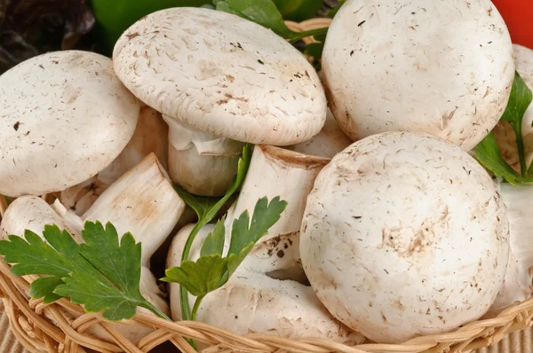 Lekkere verse witte champignons in een mand — Stockfoto
