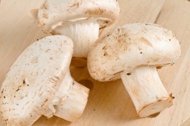 malzemeler, üç taze mantar champignon pişirme