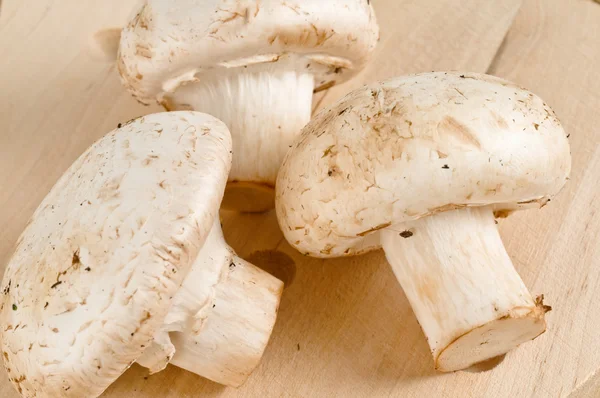 stock image Cooking ingredients, Three fresh mushrooms champignon