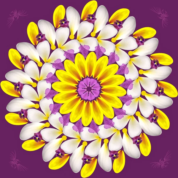 Kwiatowy mandali na fioletowym tle — Zdjęcie stockowe