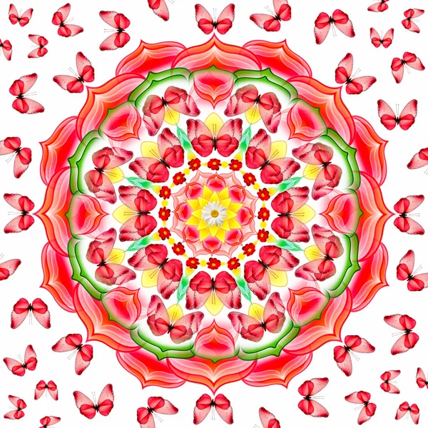 白地に赤い蝶と花曼荼羅Květinové mandaly s červených motýlů na bílém pozadí — Stock fotografie