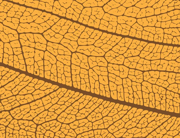Structure de la feuille d'automne — Image vectorielle