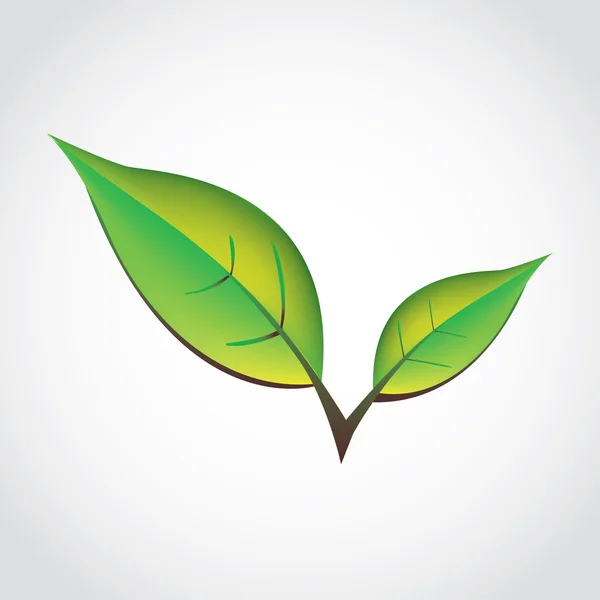 Jarní zelené listy — Stockový vektor