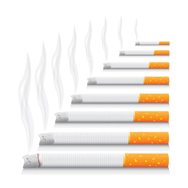 Geïsoleerde sigaretten — Stockvector