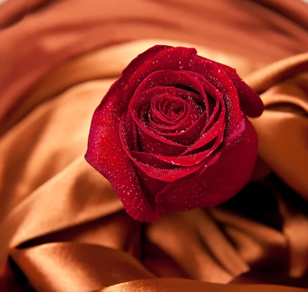 Linda rosa vermelha com gotículas em tecido de cetim marrom — Fotografia de Stock