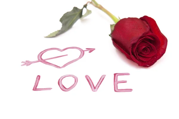 stock image Text love and roses