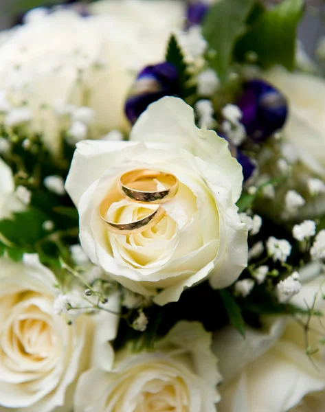 Wedding rings with white rose — Stock Photo, Image