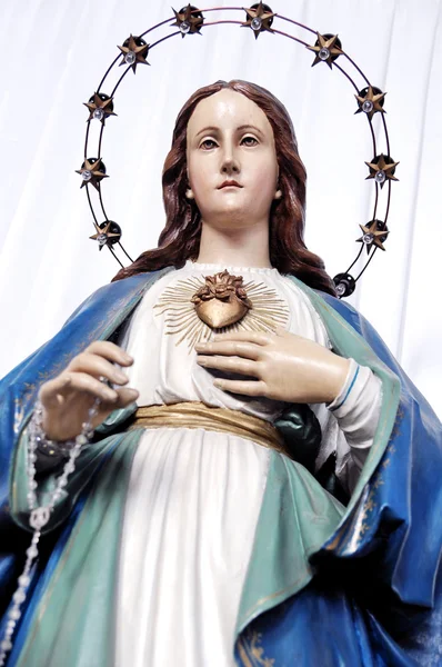 Immaculate Heart of Mary — Stock Photo, Image