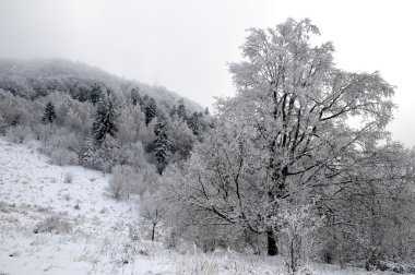 dağlar, sitno kar kış manzara