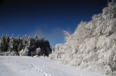 Winter landscape with snow in mountains clipart