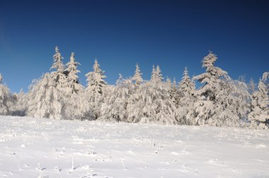 Winter landscape with snow in mountains, Slovakia clipart