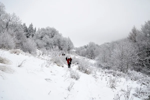 stock image Tourists in the winter landscape