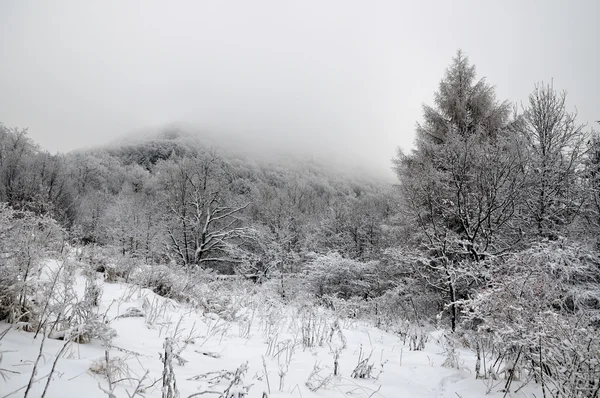 Paisagem de inverno com neve nas montanhas — Fotografia de Stock