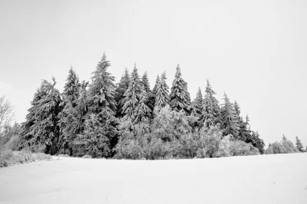 Зимний пейзаж со снегом в горах — стоковое фото