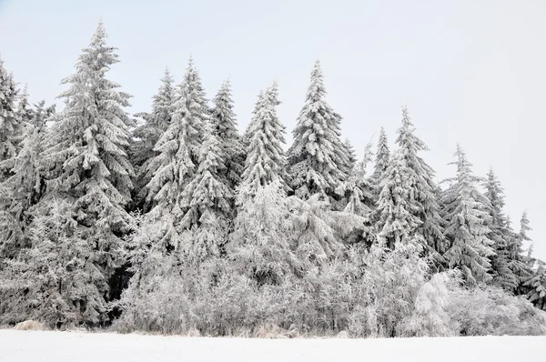 Paisaje invernal con nieve en las montañas — Foto de Stock