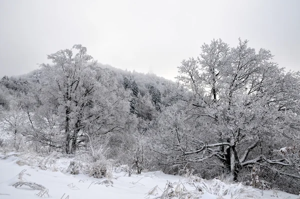 山中有雪的冬季风景 — 图库照片