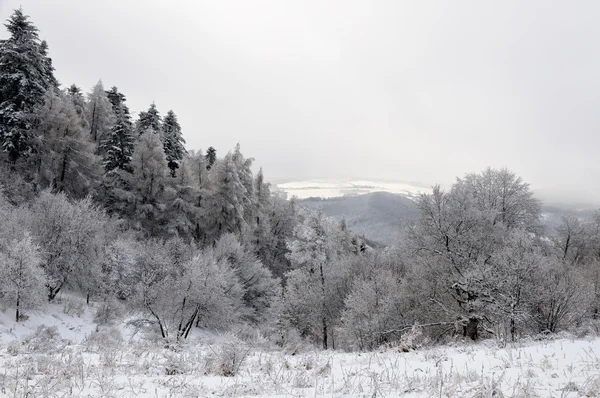 Paysage hivernal avec neige en montagne, Sitno — Photo