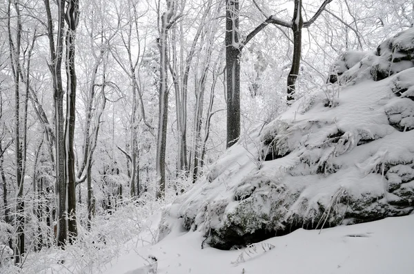 Зимний пейзаж со снегом в горах — стоковое фото
