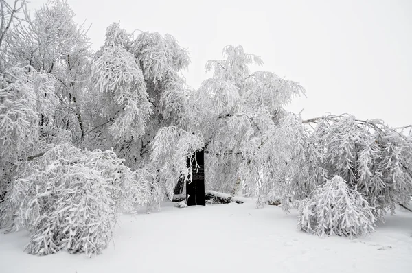 Paesaggio invernale con neve in montagna — Foto Stock