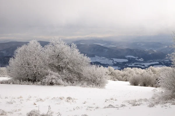 Zimowy krajobraz ze śniegiem w górach — Zdjęcie stockowe