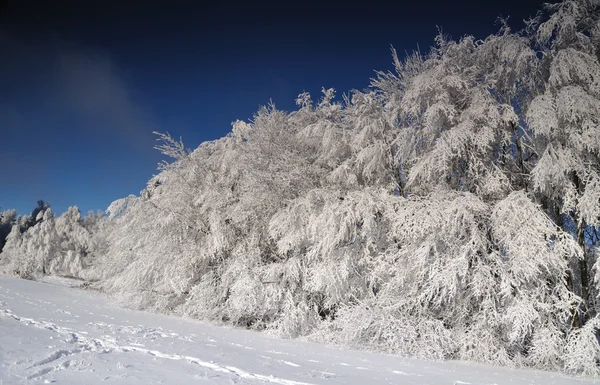 Zimowy krajobraz ze śniegiem w górach — Zdjęcie stockowe
