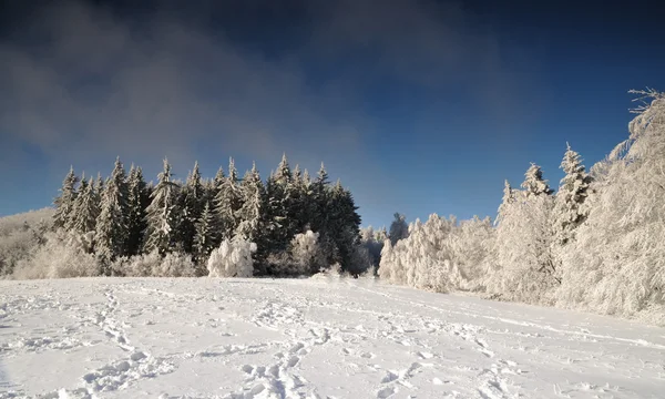 Winterlandschaft mit Schnee in den Bergen, Slowakei — Stockfoto