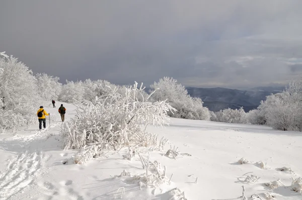 游客在冬天风景 — 图库照片