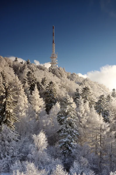 TV nadajnik sitno w krajobraz zimowy — Zdjęcie stockowe