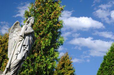 Angel in the cemetery Svitavy, Czech Republic clipart