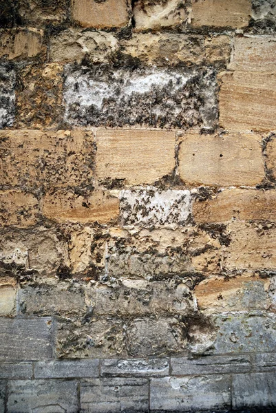 İngiliz eski taş duvar desen — Stok fotoğraf
