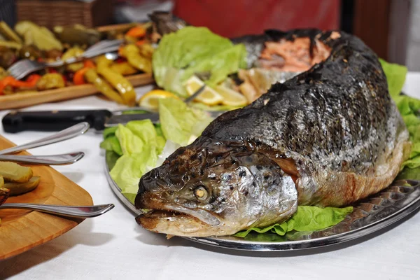 Ikan trout panggang dengan salad garnish — Stok Foto