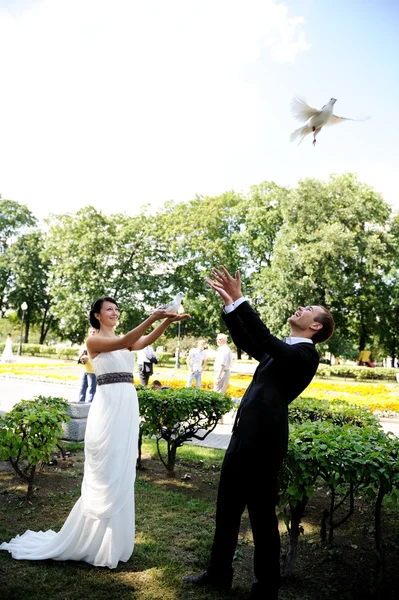 Braut und Bräutigam mit Tauben beim Hochzeitsspaziergang — Stockfoto