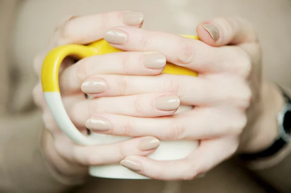 Mãos femininas com manicure bege macio — Fotografia de Stock