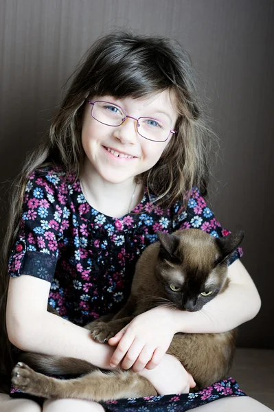 小さな女の子ホールディング ビルマ猫の肖像画 ストックフォト