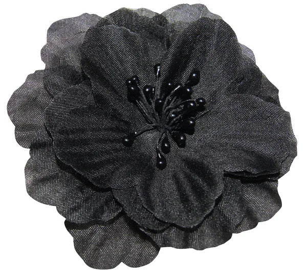 Tkanina czarny kwiat na białym tle — Zdjęcie stockowe