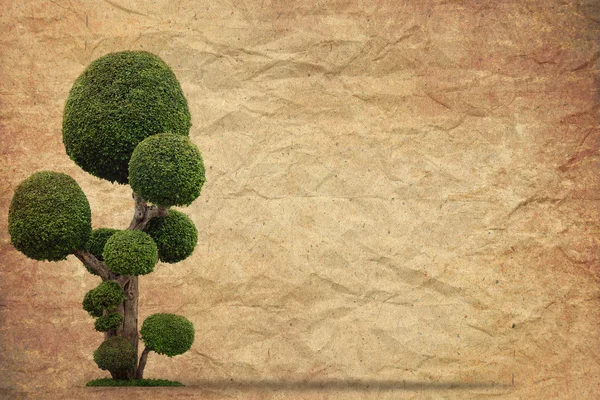 Tree with old grunge paper vintage background — Stock Photo, Image