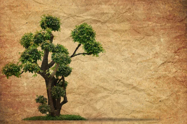 Baum mit altem Grunge Papier Vintage Hintergrund — Stockfoto