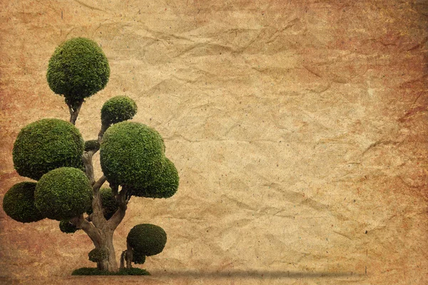 Дерево со старым гранж-бумажным фоном — стоковое фото