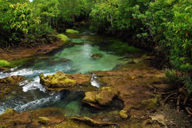 Khlong şarkı nam temizlemek tropikal akarsu, krabi, Tayland