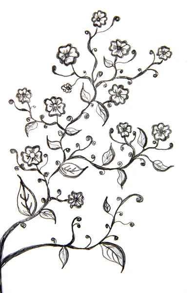 Květina kreslení — Stock fotografie