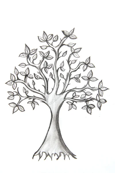 Desenho em árvore — Fotografia de Stock