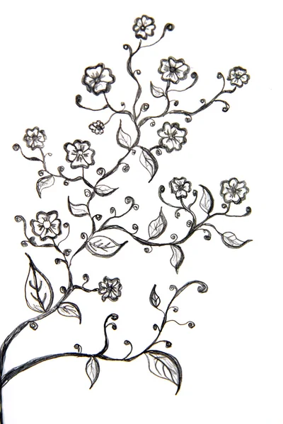 Flower drawing — Stock Image Flower drawing Stock Photo