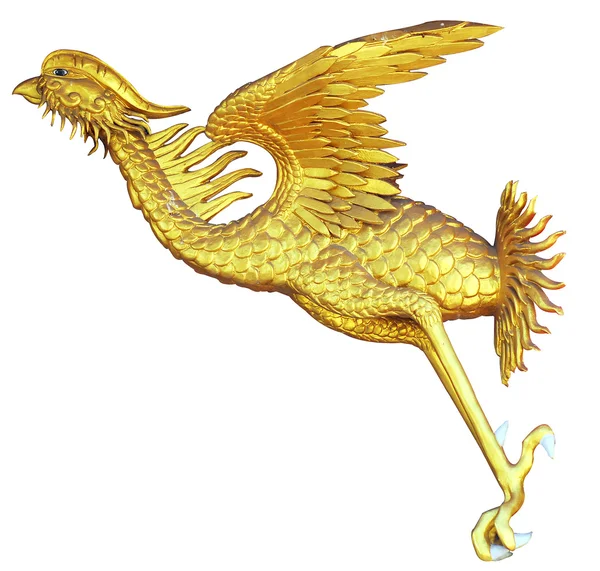 Gold Phoenix บนพื้นหลังสีขาว — ภาพถ่ายสต็อก