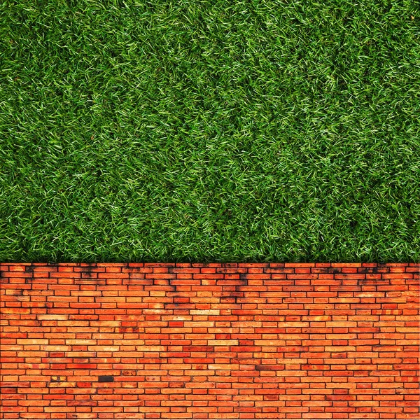 Vägg bakgrund på grönt gräs — Stockfoto