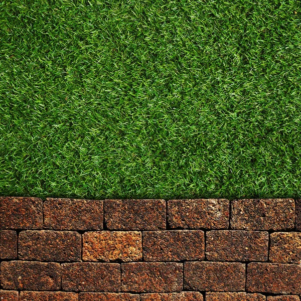 Wandhintergrund auf grünem Gras — Stockfoto